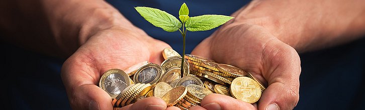 Zwei Hände halten einen kleinen Haufen Münzgeld. Daraus erwächst eine grüne Pflanze.